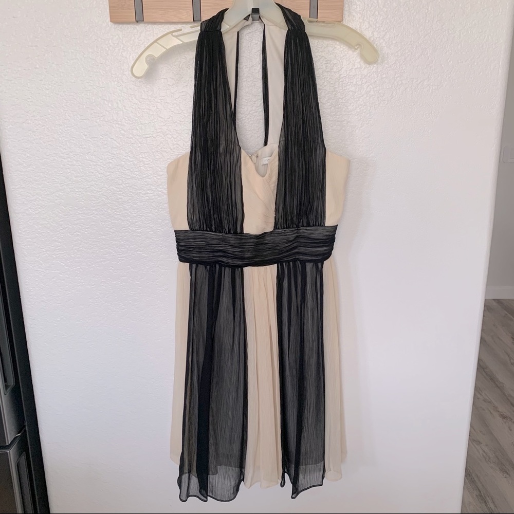 Last Chance! Max&Cleo Black & Cream dress